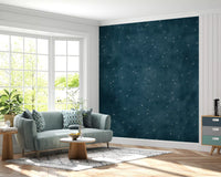 Starry Map - Midnight Blue Wall Mural