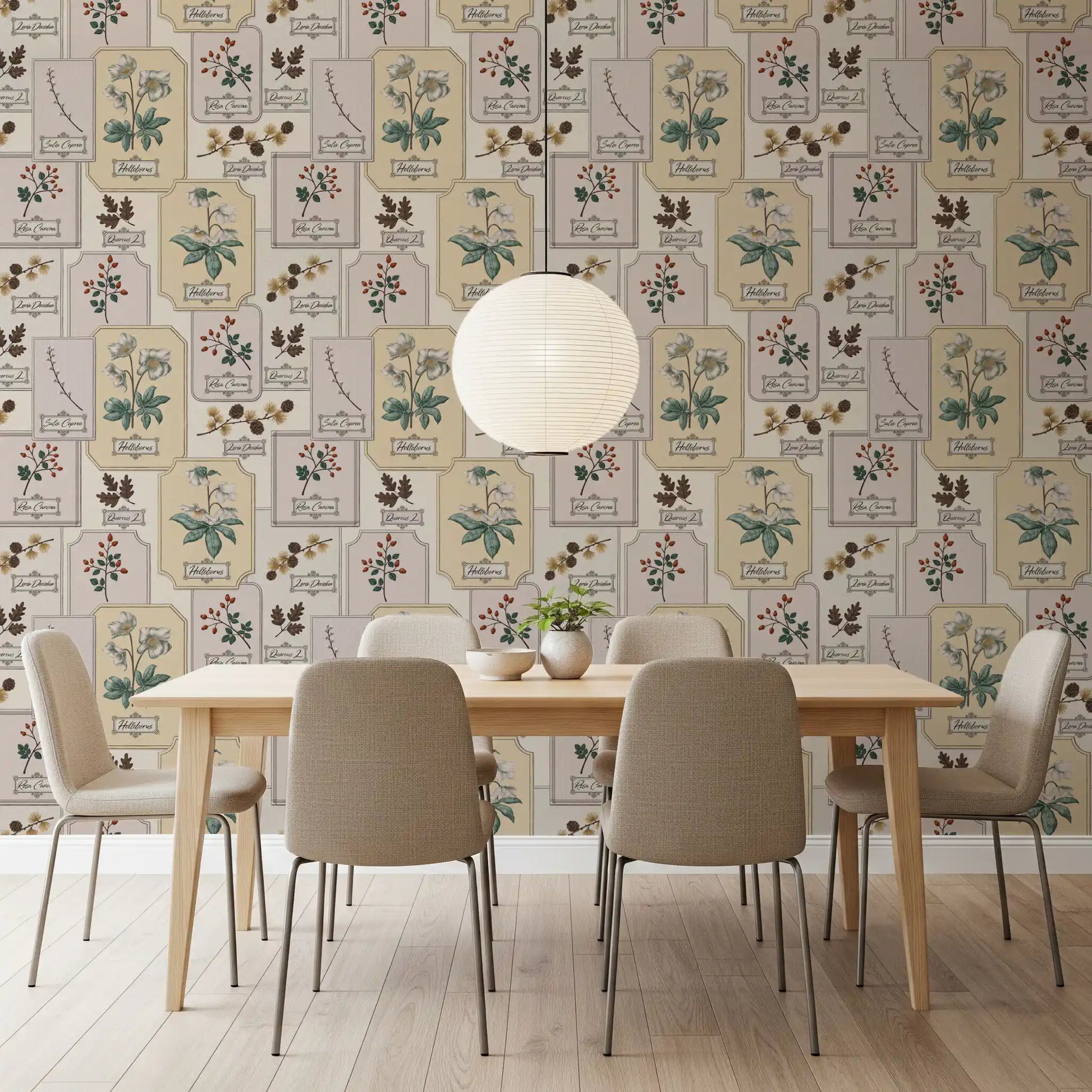 Botanical Winter Specimen Herbarium Wallpaper⁠