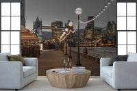 Cosmopolitan Night Riverside Scene Wall Mural
