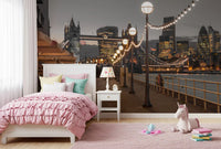 Cosmopolitan Night Riverside Scene Wall Mural