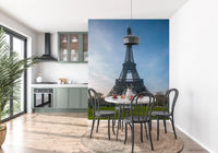 Iconic Paris Landmark Iron Lattice Wall Mural