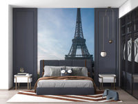 Iconic Paris Landmark Iron Lattice Wall Mural