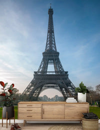 Iconic Paris Landmark Iron Lattice Wall Mural
