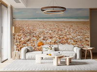 Sunlit Seashell Bed Wall Mural