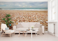 Sunlit Seashell Bed Wall Mural