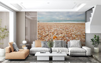 Sunlit Seashell Bed Wall Mural