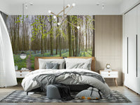 Springtime Woodland Canopy and Blooms Wall Mural