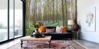 Springtime Woodland Canopy and Blooms Wall Mural