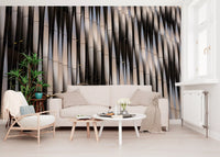 Abstract Geometric Steel Curves Wall Mural