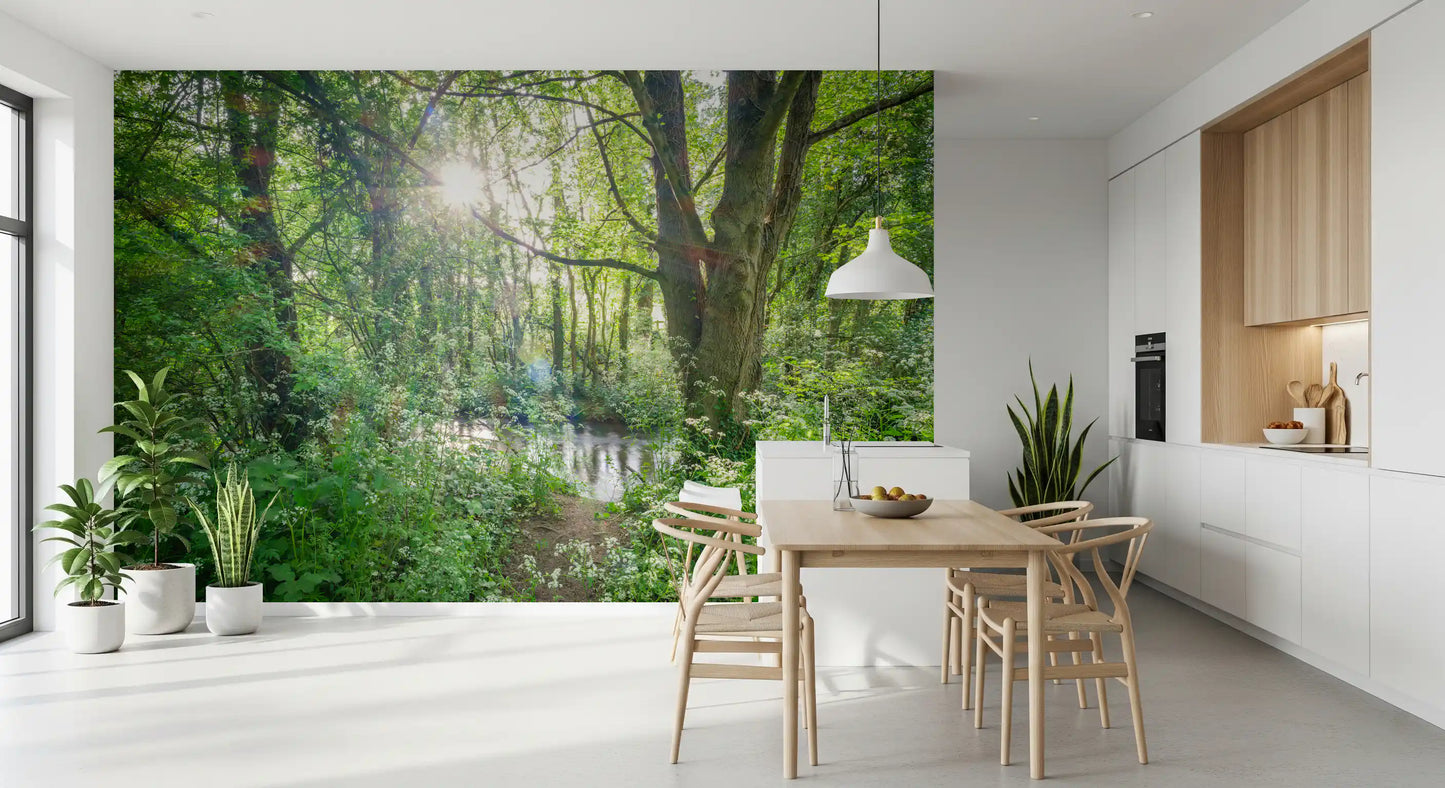 Enchanted Woodland Stream Path Wall Mural