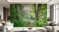 Enchanted Woodland Stream Path Wall Mural