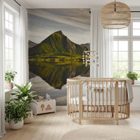 Glacial Lake and Mountain Vista Wall Mural