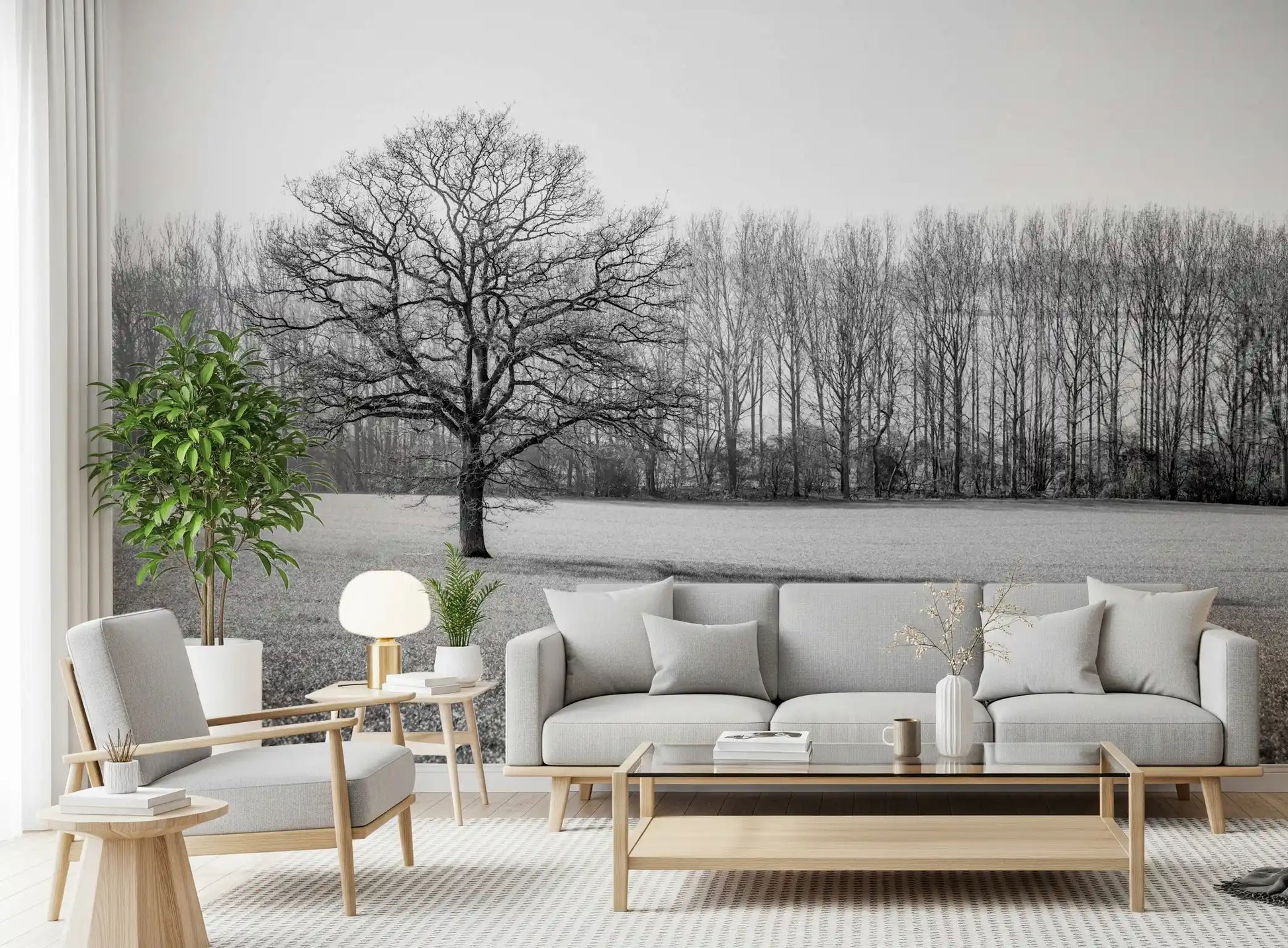 Misty Meadow Morning Wall Mural