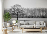 Misty Meadow Morning Wall Mural