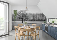 Misty Meadow Morning Wall Mural