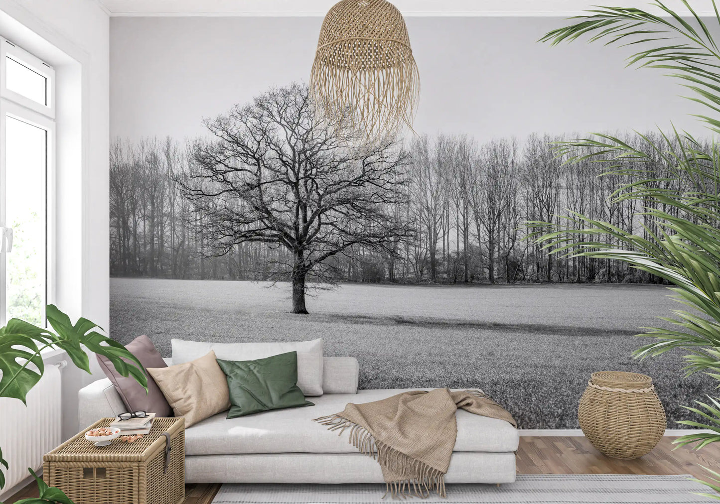 Misty Meadow Morning Wall Mural