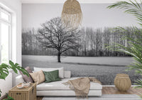 Misty Meadow Morning Wall Mural