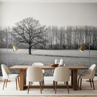 Misty Meadow Morning Wall Mural