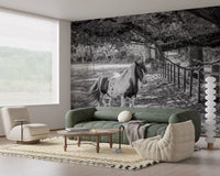 Pastoral Equine Monochrome Landscape Wall Mural