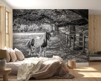 Pastoral Equine Monochrome Landscape Wall Mural