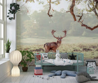 Stag Portrait in Golden Forest Light Wall Mural