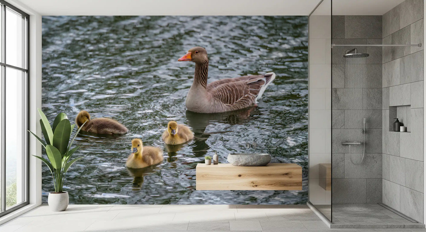 Serene Waterfowl Pond Reflections Wall Mural