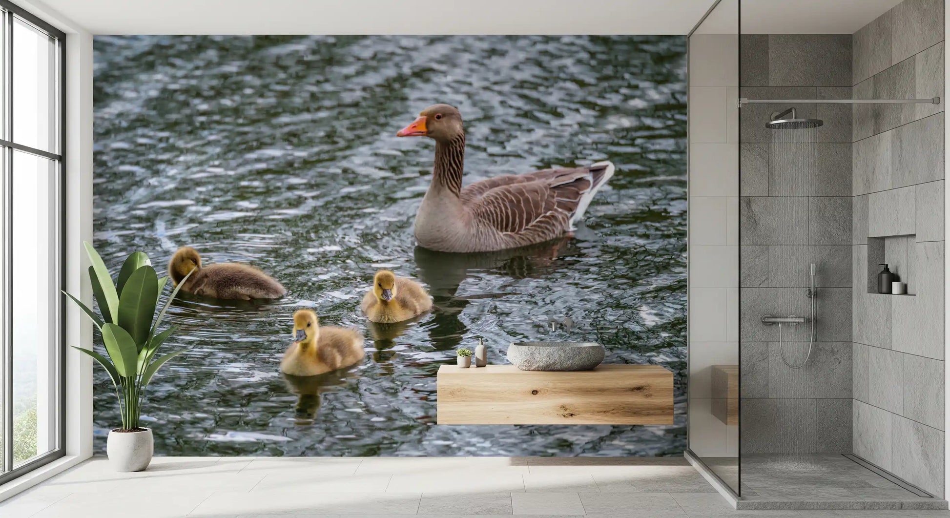 Serene Waterfowl Pond Reflections Wall Mural