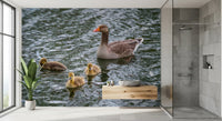Serene Waterfowl Pond Reflections Wall Mural