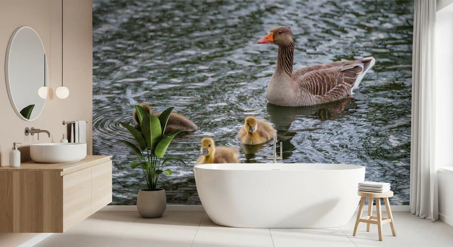 Serene Waterfowl Pond Reflections Wall Mural