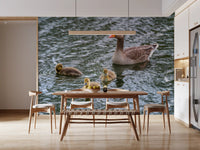 Serene Waterfowl Pond Reflections Wall Mural