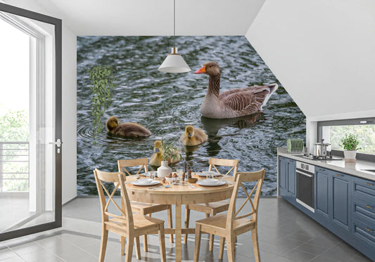 Serene Waterfowl Pond Reflections Wall Mural