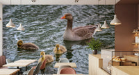 Serene Waterfowl Pond Reflections Wall Mural
