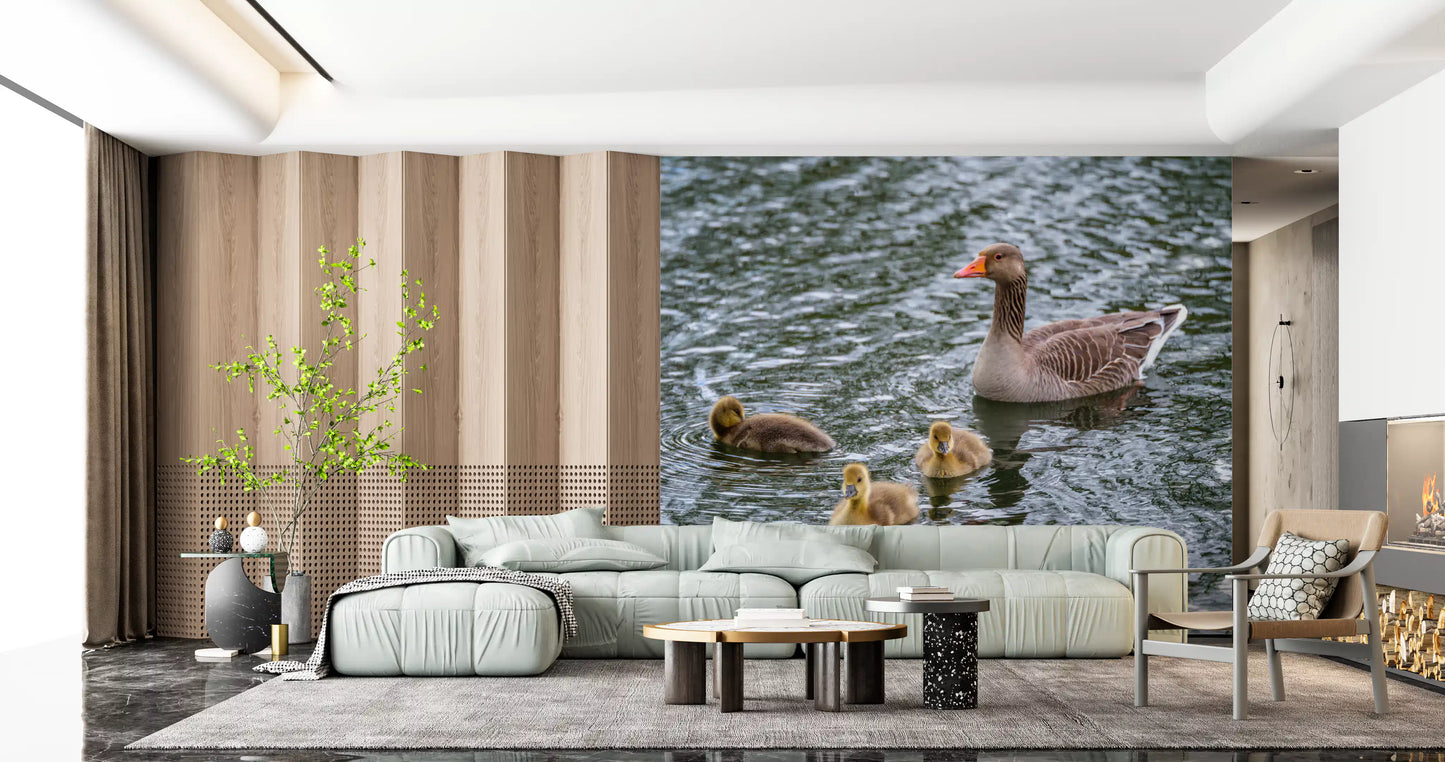 Serene Waterfowl Pond Reflections Wall Mural