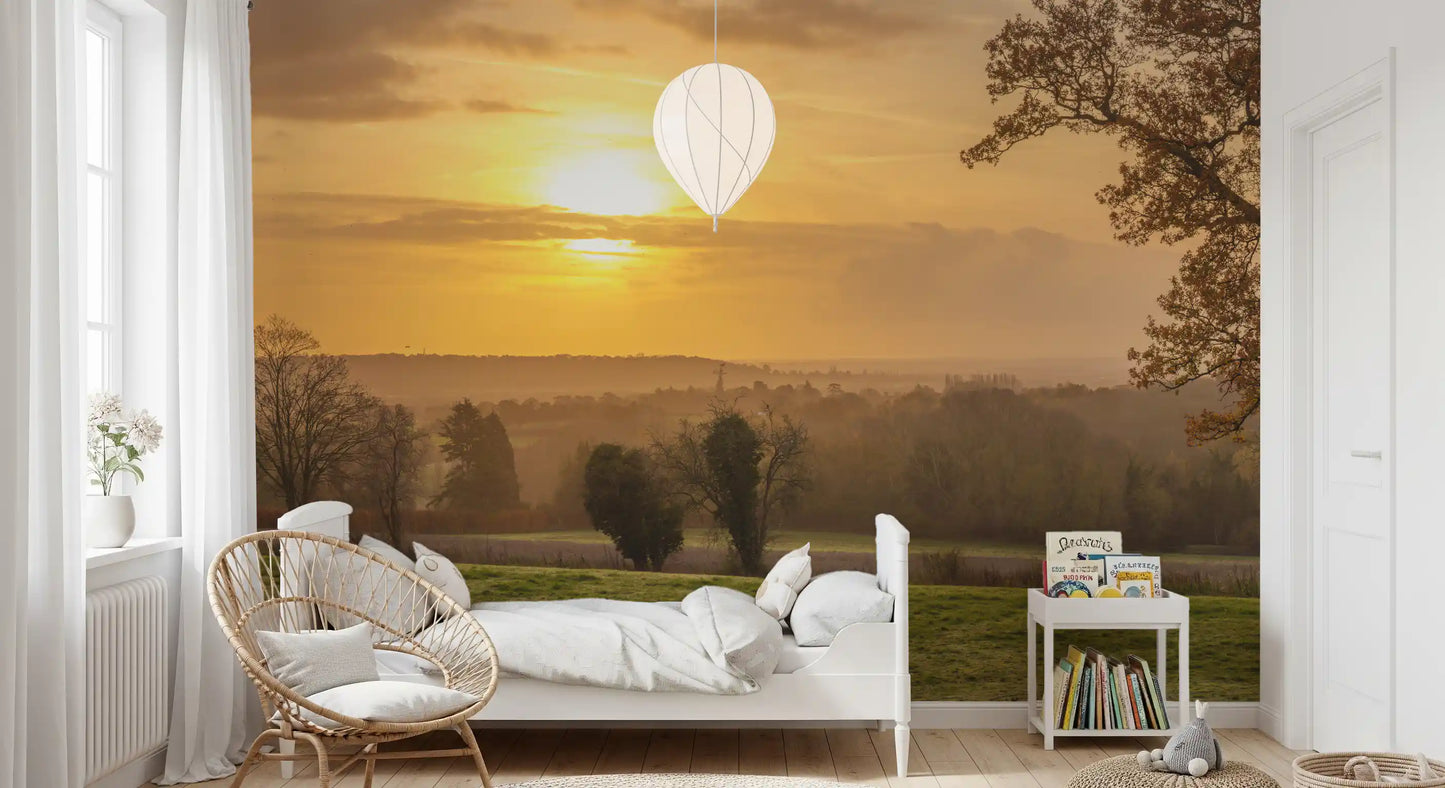 Rustic Sunset Tree Silhouettes Wall Mural