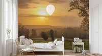 Rustic Sunset Tree Silhouettes Wall Mural