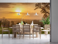 Rustic Sunset Tree Silhouettes Wall Mural