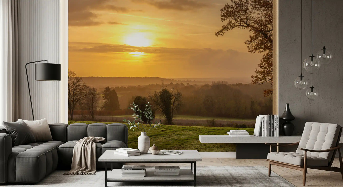 Rustic Sunset Tree Silhouettes Wall Mural