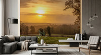 Rustic Sunset Tree Silhouettes Wall Mural
