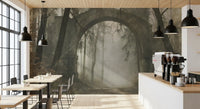 Misty Ancient Forest Stone Archway Wall Mural