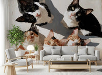 Gathering of Feline Friends Wall Mural