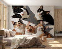 Gathering of Feline Friends Wall Mural