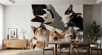 Gathering of Feline Friends Wall Mural