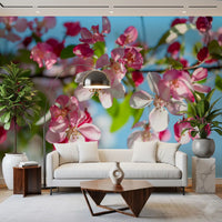 Pink Petals and Sky Blue Backdrop Wall Mural