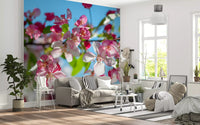 Pink Petals and Sky Blue Backdrop Wall Mural