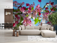 Pink Petals and Sky Blue Backdrop Wall Mural
