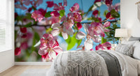 Pink Petals and Sky Blue Backdrop Wall Mural
