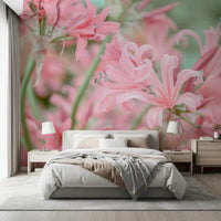 Abstract Pink Petal Layers Wall Mural