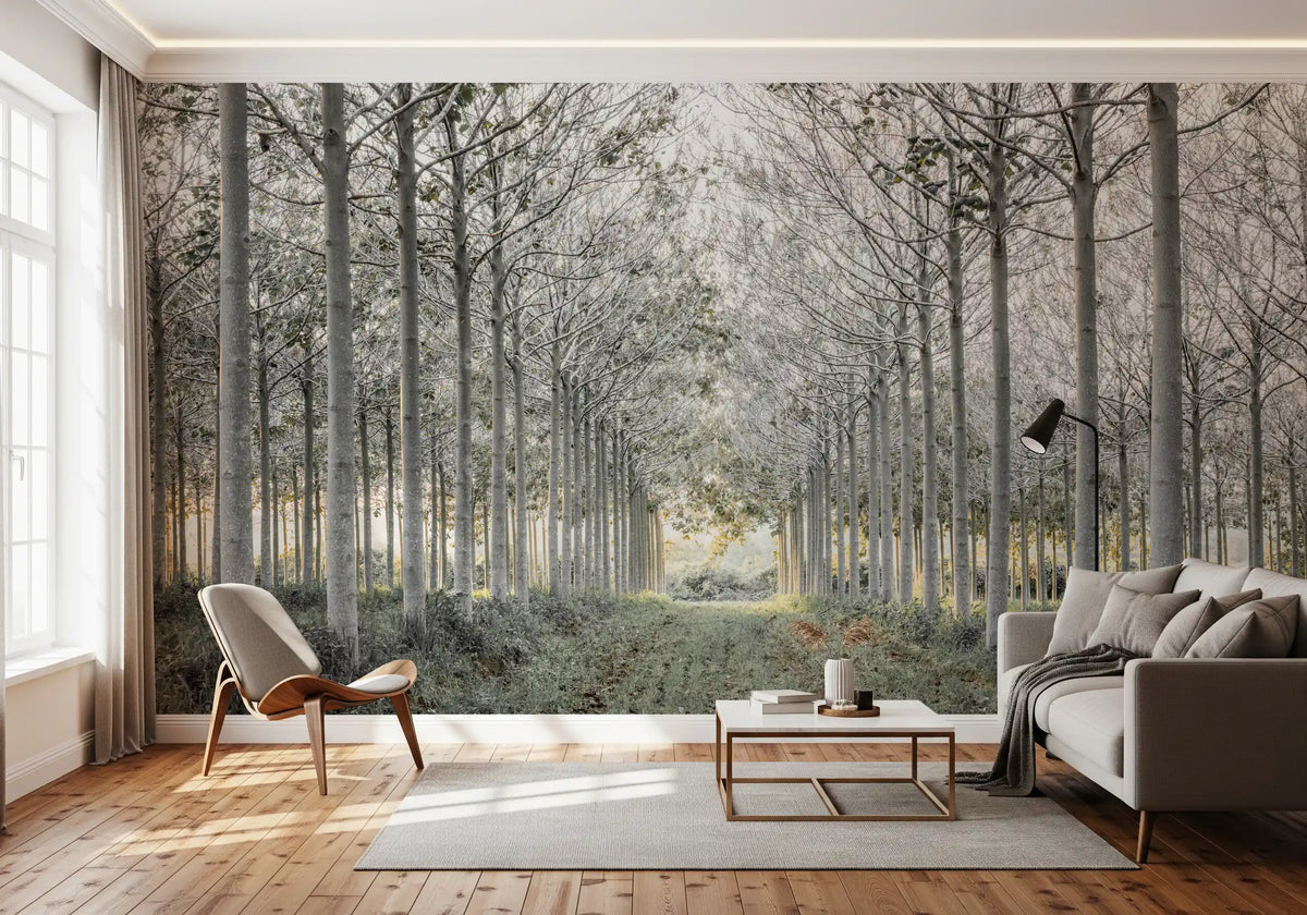 Minimalist misty woodland tree path contemporary wall mural in a living room, GD13039