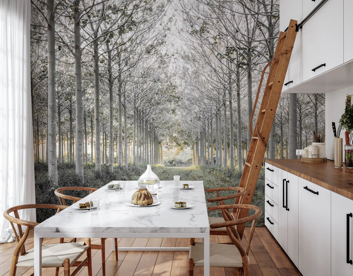 Minimalist misty woodland tree path contemporary wall mural in a living room, GD13039
