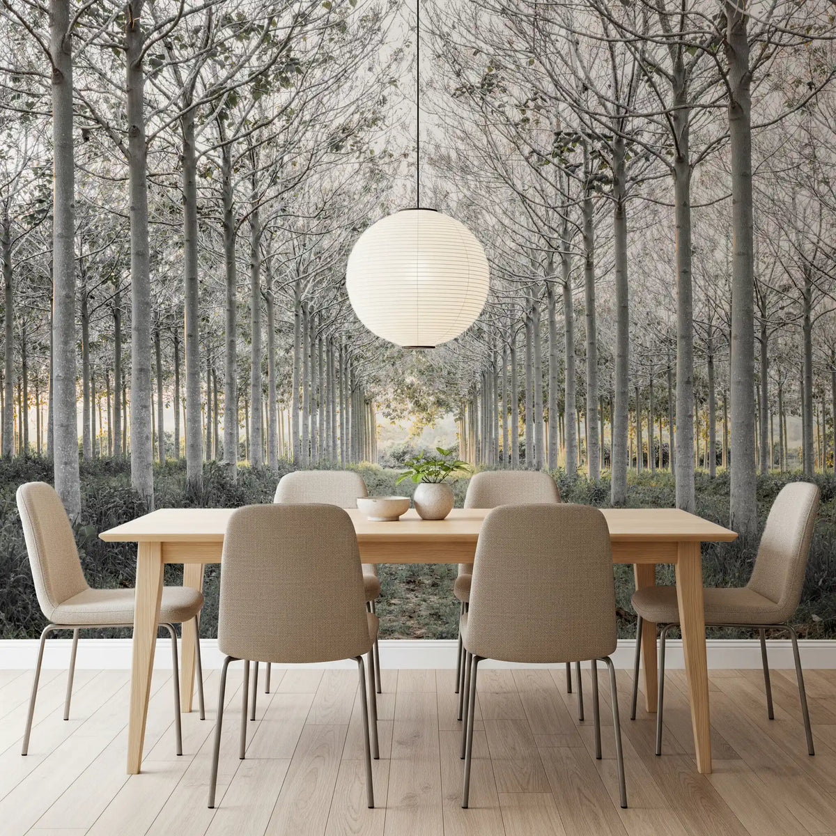 Minimalist misty woodland tree path contemporary wall mural in a living room, GD13039